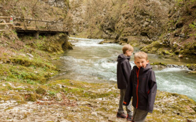 Visite des gorges de Vintgar en Slovénie