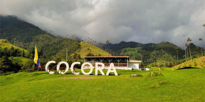 Vallée de Cocora en Colombie - ABCD Family